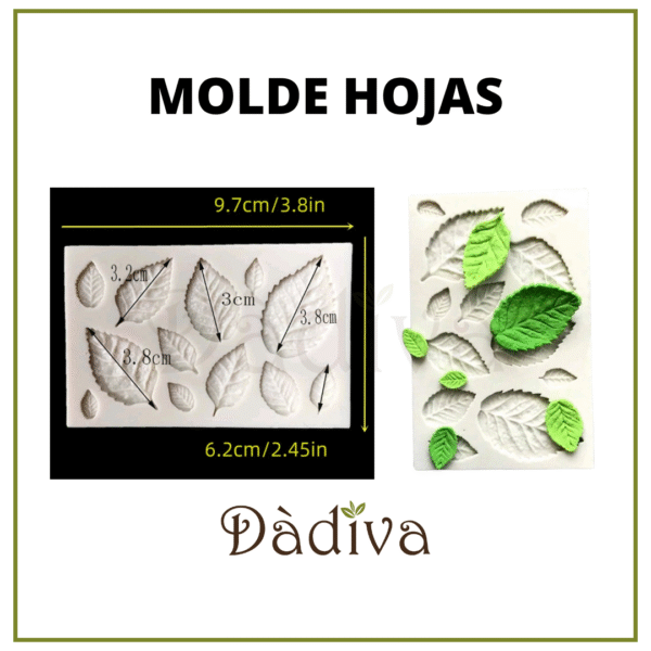 HOJAS