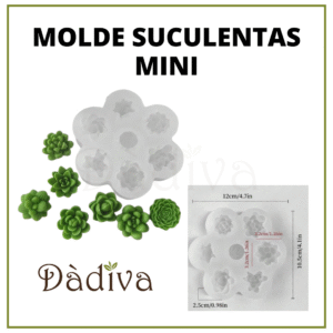 SUCULENTAS MINI