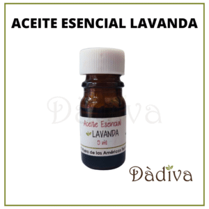 A.E. LAVANDA