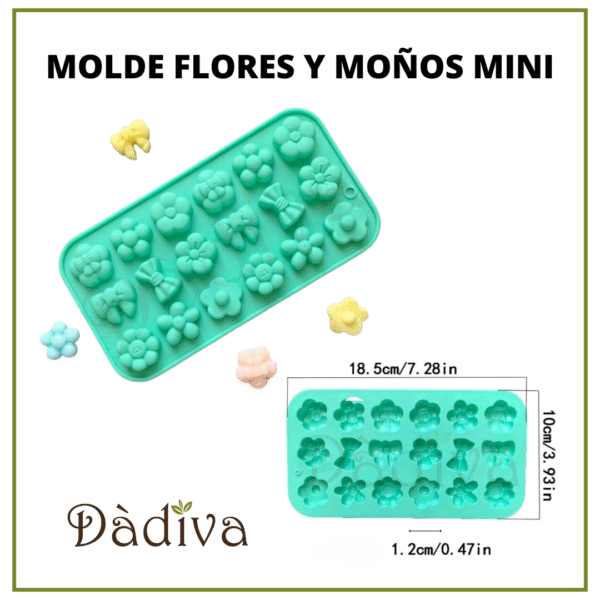 FLORES Y MOÑOS MINI