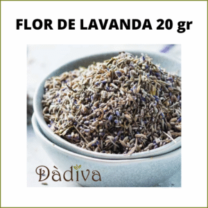 FLOR DE LAVANDA