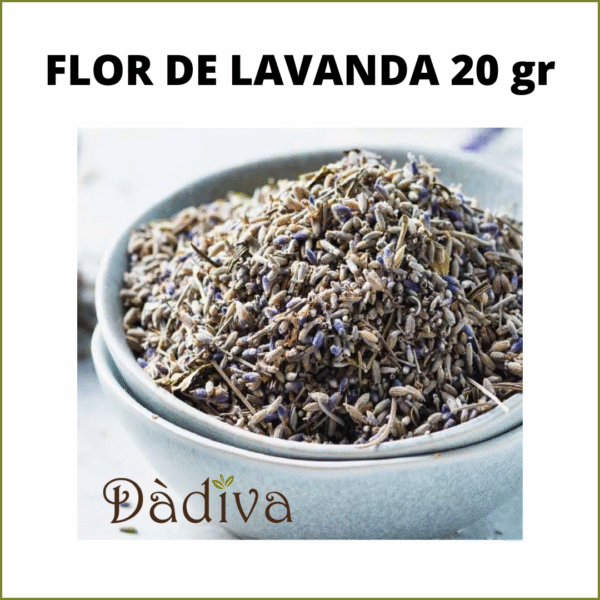 FLOR DE LAVANDA