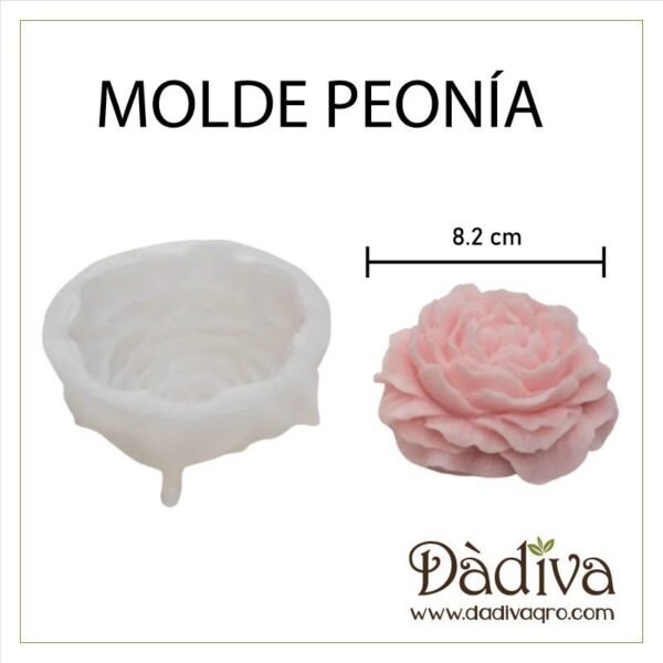 PEONÍA GRANDE