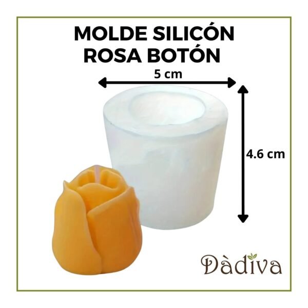 ROSA BOTÓN