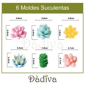 SUCULENTAS CHICAS 3 PIEZAS
