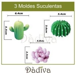SUCULENTAS GRANDES 3 PIEZAS