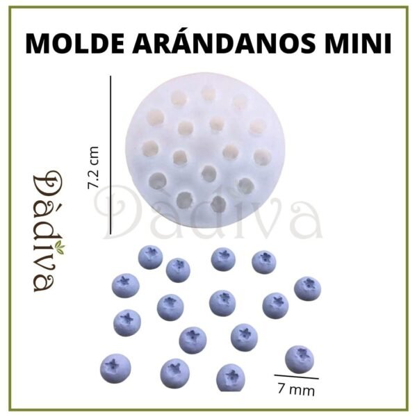 ARÁNDANOS MINI