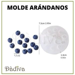 ARÁNDANOS