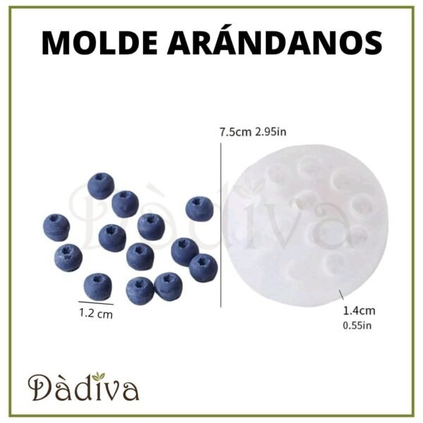 ARÁNDANOS